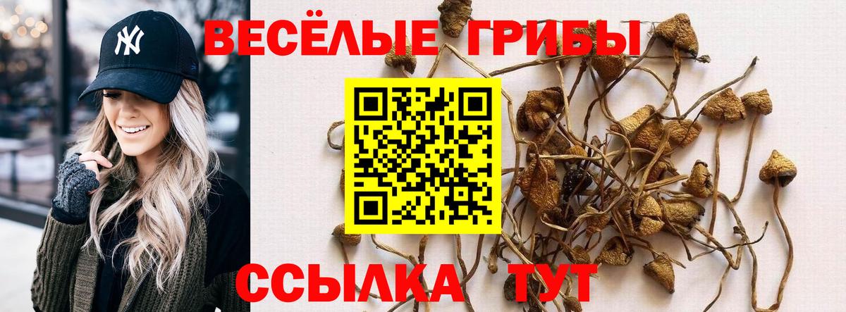 Черкесск  Галлюциногенные грибы Psilocybe  Вход с VPN 