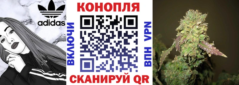 хочу наркоту  Черкесск  Канабис марихуана 